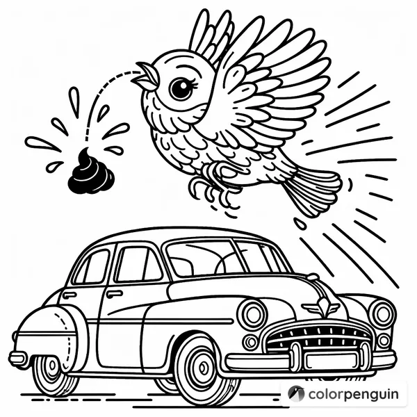 Bird Over Car with a Funny Surprise