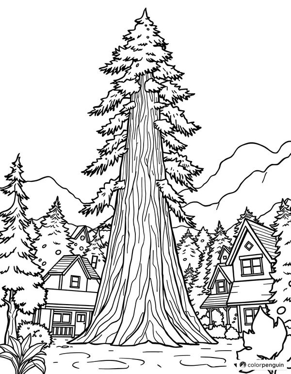 The Tallest Tree in Town