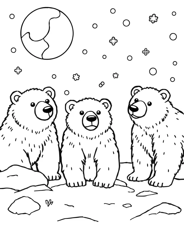 Snow Bears