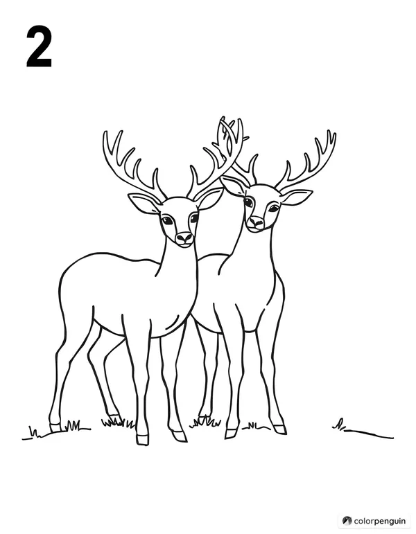 Two Deer by the Number 2