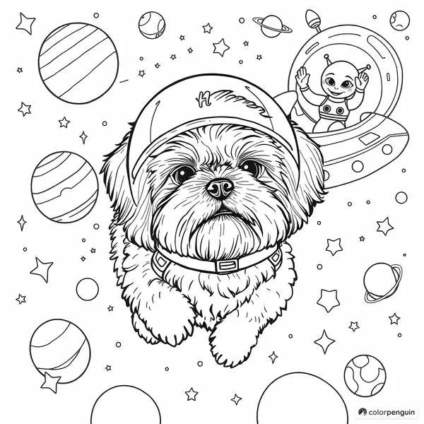 Shih Tzu's Space Adventure