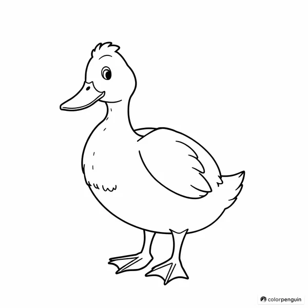 Friendly Duck