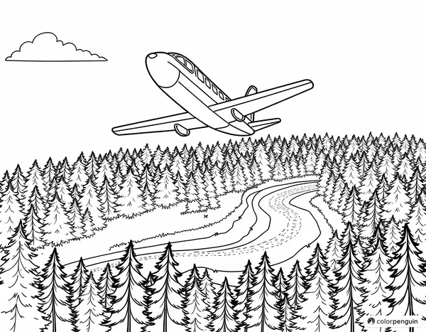 Airplane Over Forest and River