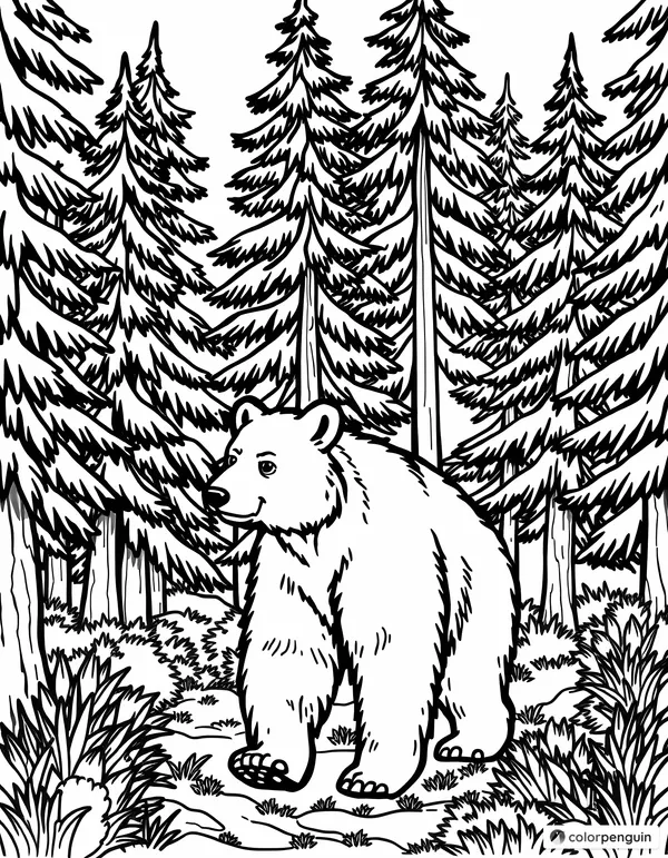 Bear Walking Through a Forest