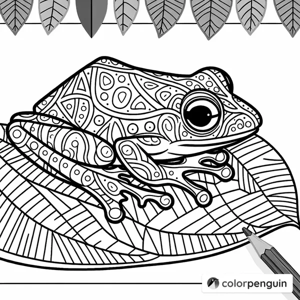 Dart Frog on a Leaf