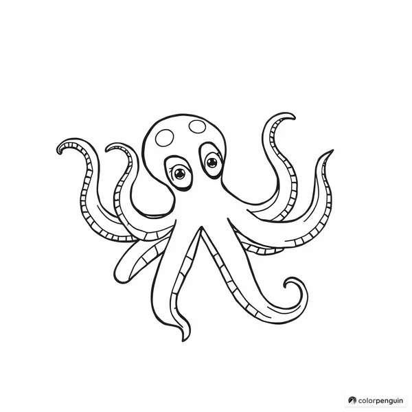 The Curious Octopus