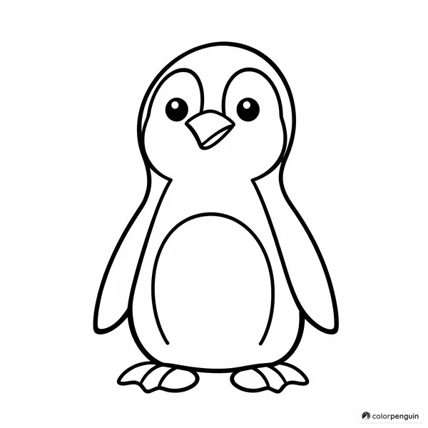 Adorable Penguin