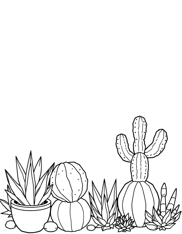 Cactus and Succulents