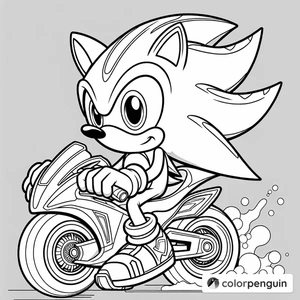 Sonic on a Motorbike