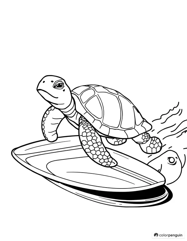 Turtle on a surfboard