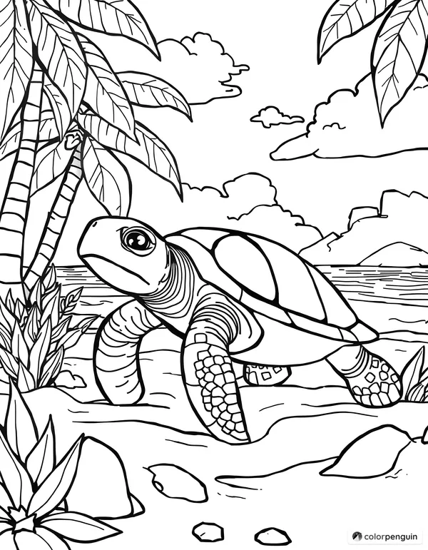 Turtle on a tropical beach