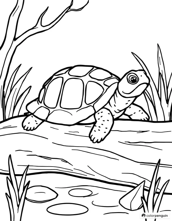 Turtle resting on a log