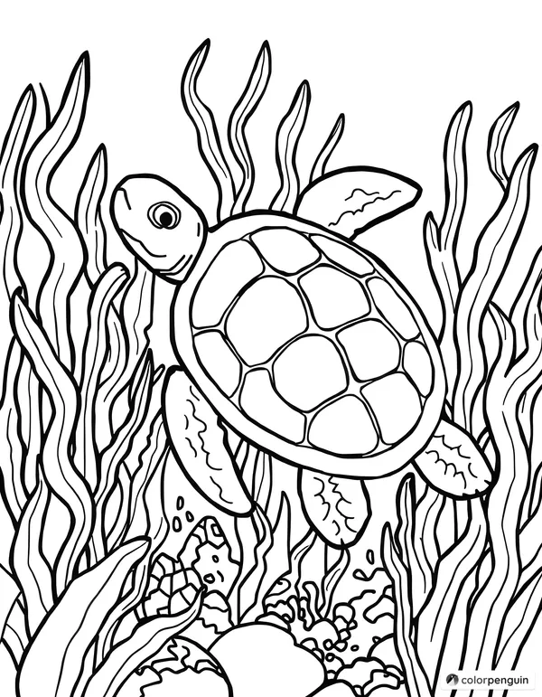 Turtle surrounded by seaweed