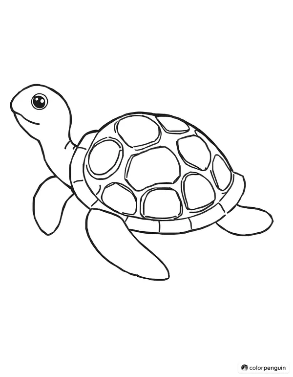 Turtle with rainbow shell