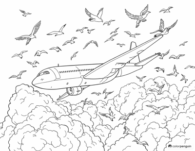 Airplane With Flying Birds Coloring Page
