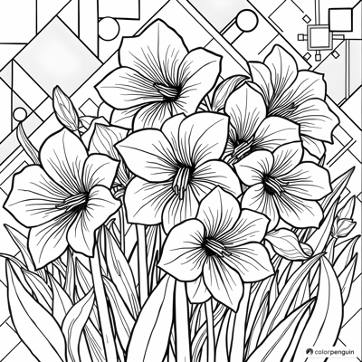 Amaryllis Blooms For Coloring Coloring Page