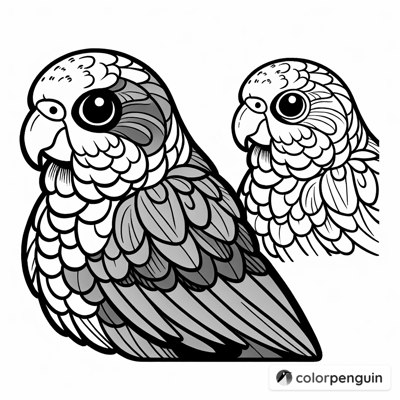 Green Cheek Conure Coloring Page