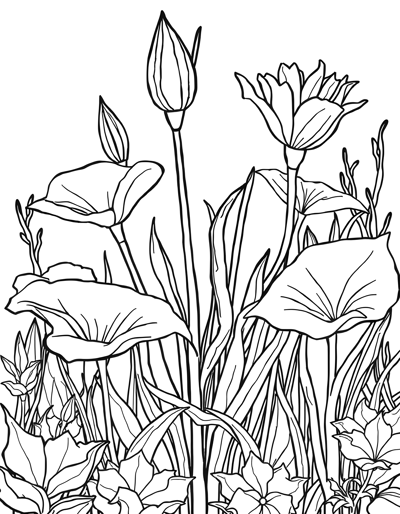 Aquatic Plant Oasis Coloring Page