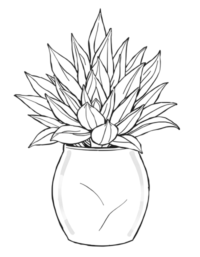 Succulent In A Vase Coloring Page