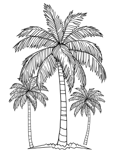 Palm Tree Coloring Page