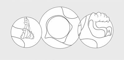 Three Circles On A Yellow Background. Coloring Page