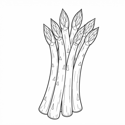 Asparagus Coloring Page