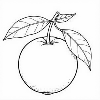 Complete Orange Fruit With Its Stem And Leaves Coloring Page