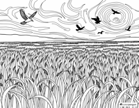 Wheatfield With Crows Coloring Page