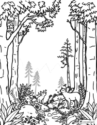 Forest With Wildlife Coloring Page