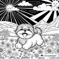 A Joyful Shih Tzu In A Flower Field Coloring Page