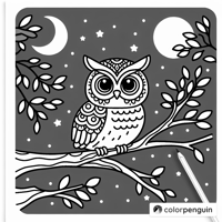 Owl On A Tree Branch At Night Coloring Page