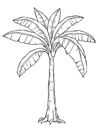 Banana Tree Coloring Page