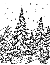Pine Trees In A Snowy Scene Coloring Page