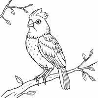CATS Cats Are Pets They Have Lived With Humans For... Coloring Page