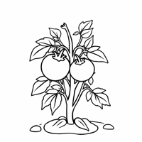 A Tomato With Roots Stem Leaves Flowers And The... Coloring Page