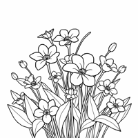 Picture Of A Beautiful Flower Coloring Page