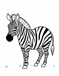 Zebra Coloring Page