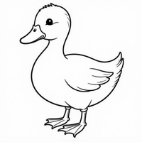 A Picture Of A Duck Coloring Page