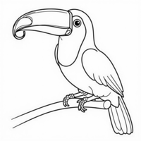 Toucan With Curling Iron Coloring Page