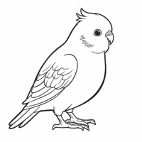 Create A Colorless Budgie Coloring Page