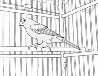A Small Bird Is Standing On A Wooden Perch Inside... Coloring Page