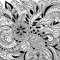 Zentangle Floral Balanced Design Coloring Page