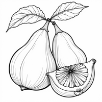 Fig Fruit Coloring Page