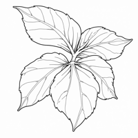 Emblica Coloring Page