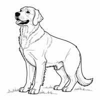 Animal Coloring Pages