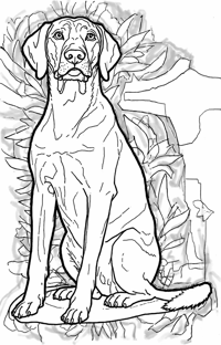 A Black And White Dog Is Standing On A Black... Coloring Page