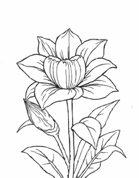 Flower With Garden Coloring Page
