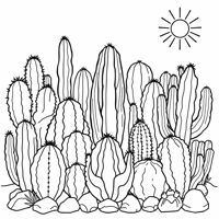 A Variety Of Cactus In A Pattern With Bold Lines Coloring Page