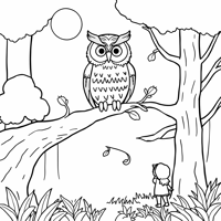 A Magical Owl Perched On A Glowing Branch Under... Coloring Page