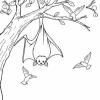 A Bat Flapping Its Wings And Hanging By Its Legs... Coloring Page